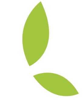 Green leaf logo symbolizing nature and sustainability.